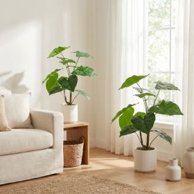 30'' Artificial Tropical Alocasia Leaf Plant With White Pot 2pc/set (Option: Green Leaves)